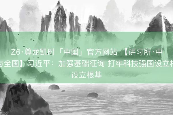Z6·尊龙凯时「中国」官方网站 【讲习所·中国与全国】习近平：加强基础征询 打牢科技强国设立根基