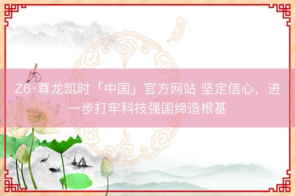 Z6·尊龙凯时「中国」官方网站 坚定信心，进一步打牢科技强国缔造根基