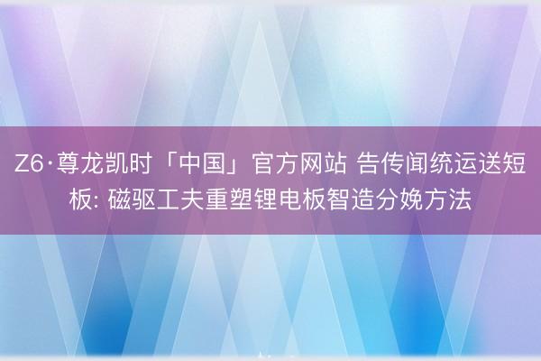 Z6·尊龙凯时「中国」官方网站 告传闻统运送短板: 磁驱工夫重塑锂电板智造分娩方法