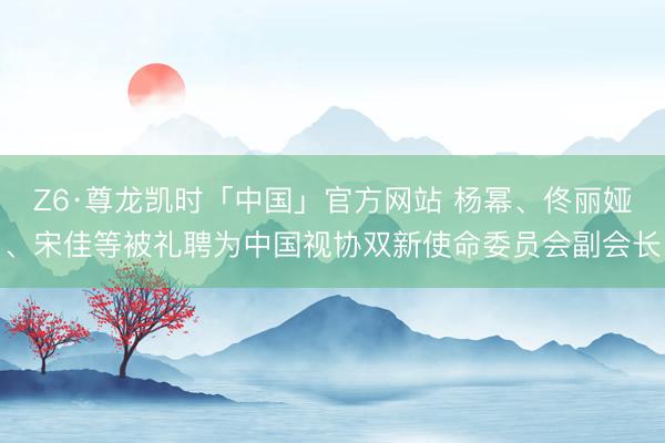 Z6·尊龙凯时「中国」官方网站 杨幂、佟丽娅、宋佳等被礼聘为中国视协双新使命委员会副会长