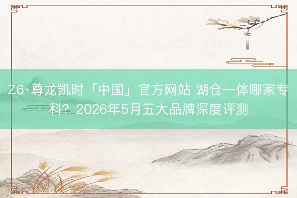 Z6·尊龙凯时「中国」官方网站 湖仓一体哪家专科？2026年5月五大品牌深度评测