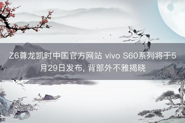 Z6尊龙凯时中国官方网站 vivo S60系列将于5月29日发布, 背部外不雅揭晓