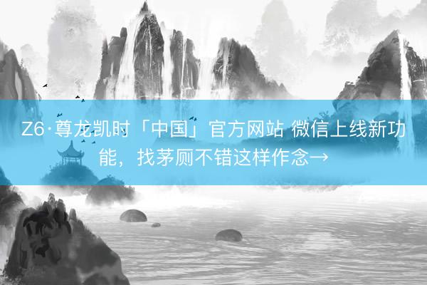 Z6·尊龙凯时「中国」官方网站 微信上线新功能,找茅厕不错这样作念→