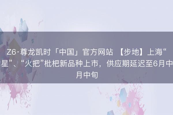 Z6·尊龙凯时「中国」官方网站 【步地】上海“七星”、“火把”枇杷新品种上市，供应期延迟至6月中旬