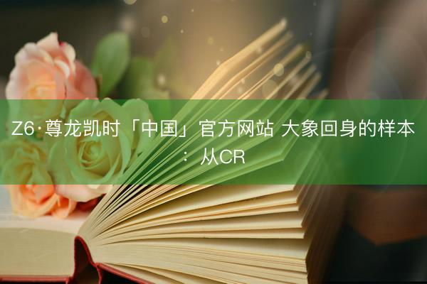 Z6·尊龙凯时「中国」官方网站 大象回身的样本：从CR
