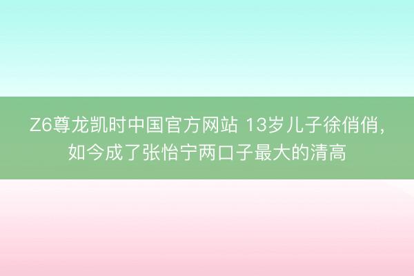 Z6尊龙凯时中国官方网站 13岁儿子徐俏俏，如今成了张怡宁两口子最大的清高