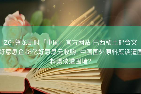 Z6·尊龙凯时「中国」官方网站 巴西稀土配合突停! 好意思企28亿好意思元收购, 中国国外原料渠谈遭围堵?