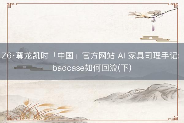 Z6·尊龙凯时「中国」官方网站 AI 家具司理手记: badcase如何回流(下)