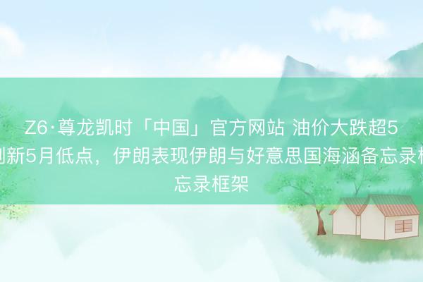 Z6·尊龙凯时「中国」官方网站 油价大跌超5%刷新5月低点，伊朗表现伊朗与好意思国海涵备忘录框架