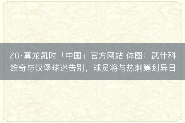 Z6·尊龙凯时「中国」官方网站 体图：武什科维奇与汉堡球迷告别，球员将与热刺筹划异日