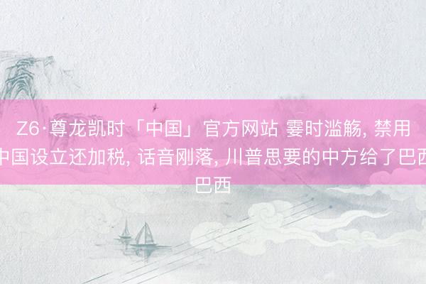 Z6·尊龙凯时「中国」官方网站 霎时滥觞， 禁用中国设立还加税， 话音刚落， 川普思要的中方给了巴西