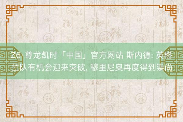Z6·尊龙凯时「中国」官方网站 斯内德: 英格兰队有机会迎来突破， 穆里尼奥再度得到崇尚