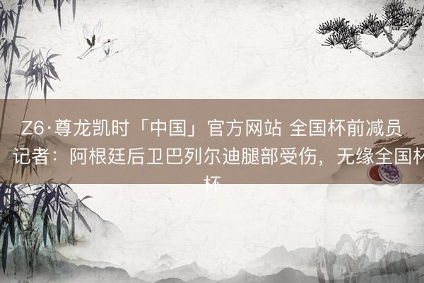 Z6·尊龙凯时「中国」官方网站 全国杯前减员!记者:阿根廷后卫巴列尔迪腿部受伤,无缘全国杯