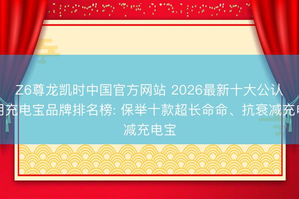 Z6尊龙凯时中国官方网站 2026最新十大公认耐用充电宝品牌排名榜: 保举十款超长命命、抗衰减充电宝