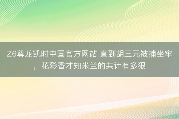 Z6尊龙凯时中国官方网站 直到胡三元被捕坐牢，花彩香才知米兰的共计有多狠