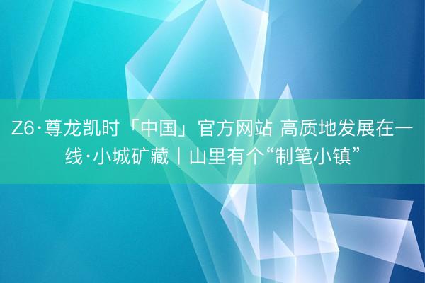 Z6·尊龙凯时「中国」官方网站 高质地发展在一线·小城矿藏丨山里有个“制笔小镇”