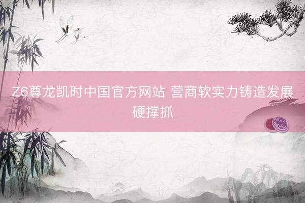 Z6尊龙凯时中国官方网站 营商软实力铸造发展硬撑抓