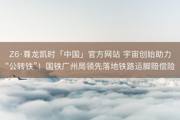 Z6·尊龙凯时「中国」官方网站 宇宙创始助力“公转铁”！国铁广州局领先落地铁路运脚赔偿险