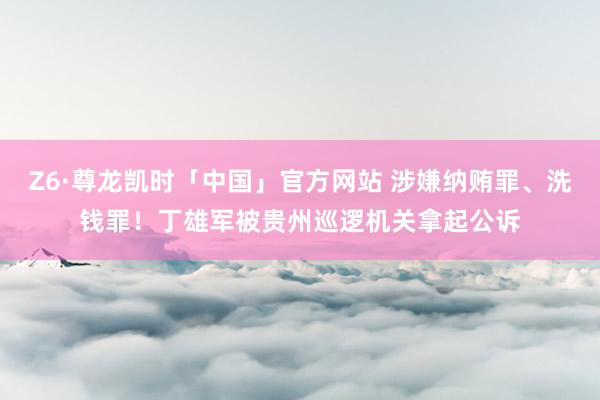 Z6·尊龙凯时「中国」官方网站 涉嫌纳贿罪、洗钱罪!丁雄军被贵州巡逻机关拿起公诉