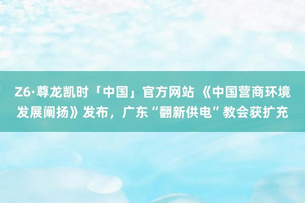 Z6·尊龙凯时「中国」官方网站 《中国营商环境发展阐扬》发布，广东“翻新供电”教会获扩充