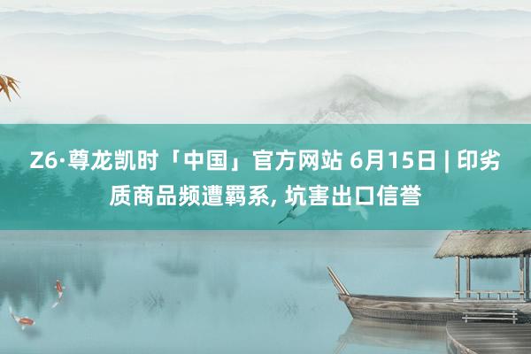 Z6·尊龙凯时「中国」官方网站 6月15日 | 印劣质商品频遭羁系， 坑害出口信誉
