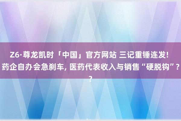 Z6·尊龙凯时「中国」官方网站 三记重锤连发! 药企自办会急刹车， 医药代表收入与销售“硬脱钩”?